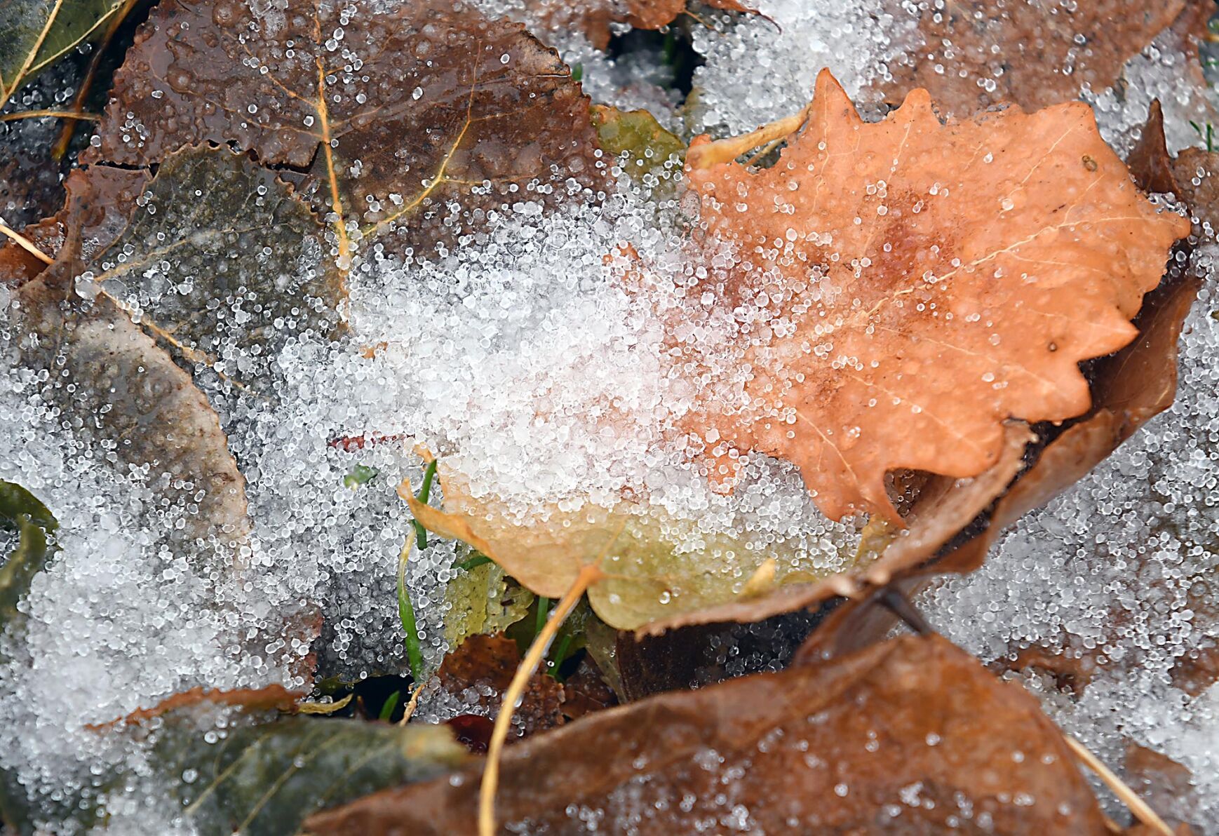 Bad weather 2